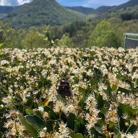 Apartment Ca Del Restel *