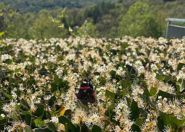 Lejlighed Ca Del Restel *